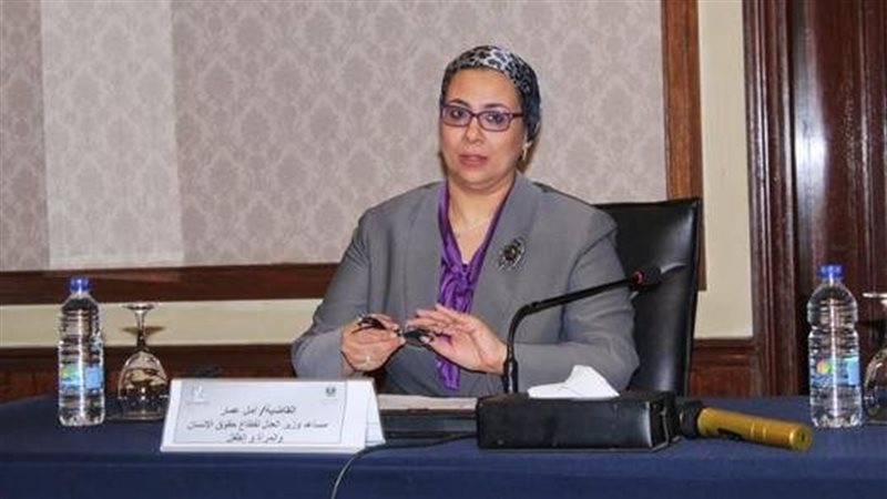 المستشارة أمل عمار،