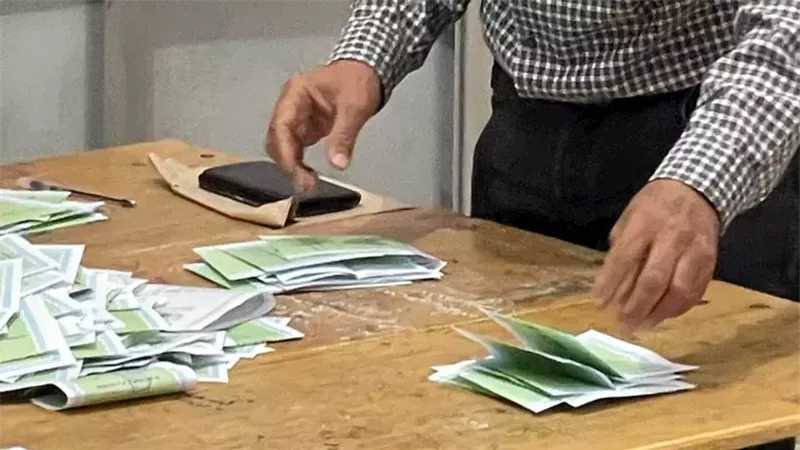 فرز الأصوات، فيتو