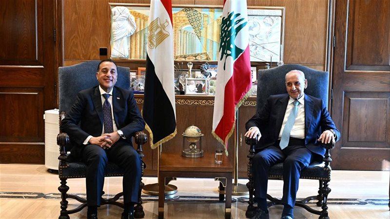 مجلس الوزراء , فيتو