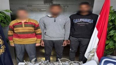 ضبط تشكيل عصابي متهم بسرقة أسلاك كهربائية وأدوات صحية من فيلا بالتجمع