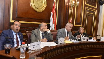 زراعة الشيوخ تطالب بمراجعة قرار رفع إيجارات أراضي الأوقاف وتوصي بتأجيل التطبيق