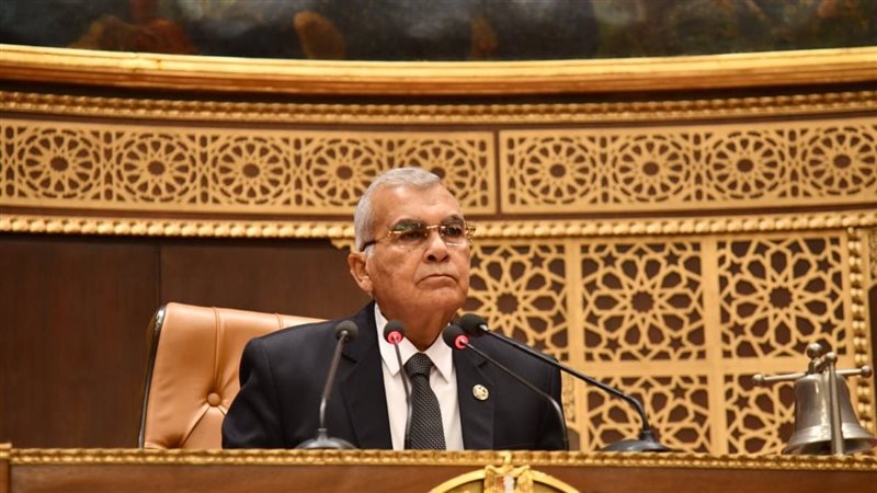 المستشار عصام فريد