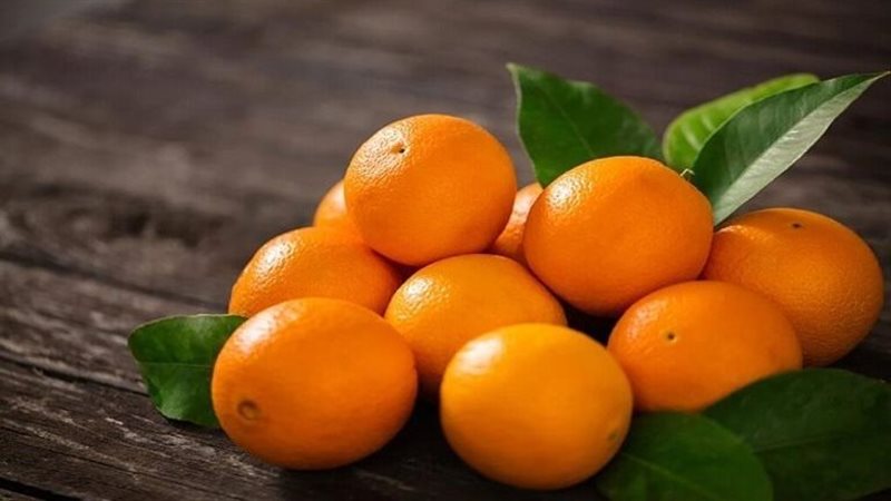 البرتقال 