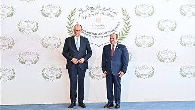 حصاد 2025، تعزيز الاستثمارات الألمانية في مصر يتصدر تطور الشراكة الاستراتيجية بين القاهرة وبرلين