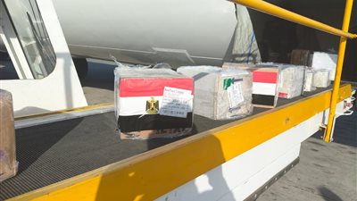 مصر ترسل قافلة طبية نوعية ومستلزمات علاجية وأدوية إلى السودان (صور)
