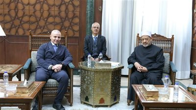 شيخ الأزهر: القضية الفلسطينية بلغت حدا من الظلم لا يقبل معه الحياد