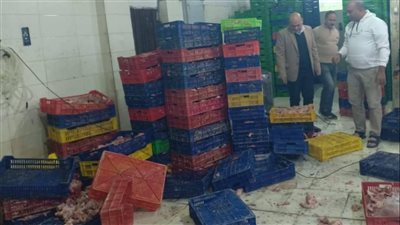 ضبط 16 طن دواجن غير صالحة للاستهلاك الآدمي بالقليوبية