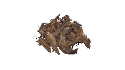 فوائد عشبة رجل الأسد للنساء، تنظم الهرمونات الأنثوية وتقلل نزيف الدورة الشهرية 