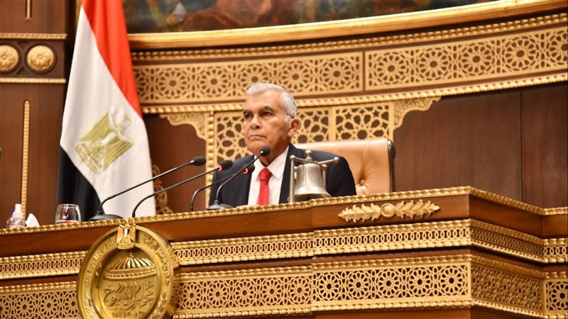المستشار عصام فريد