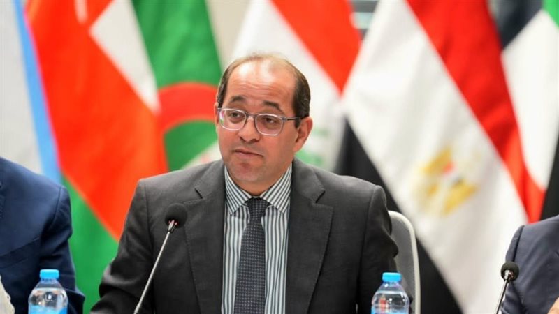 أحمد كجوك وزير المالية