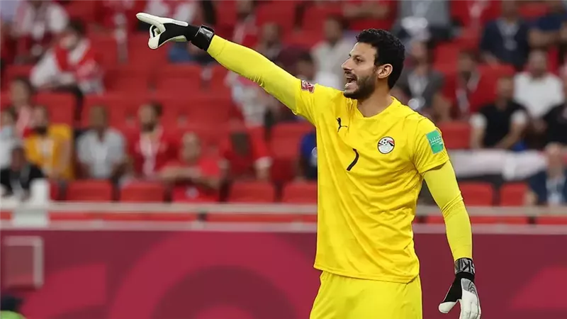 الشناوي 