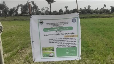 زراعة الفيوم تجهز حقلين إرشاديين لمحصول القمح للموسم الجديد