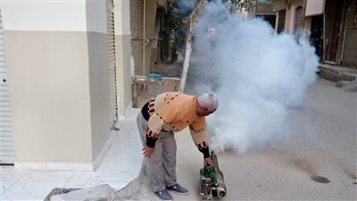 محافظ الأقصر يوجه برش المبيدات الحشرية بمنطقة حي شرق (صور)