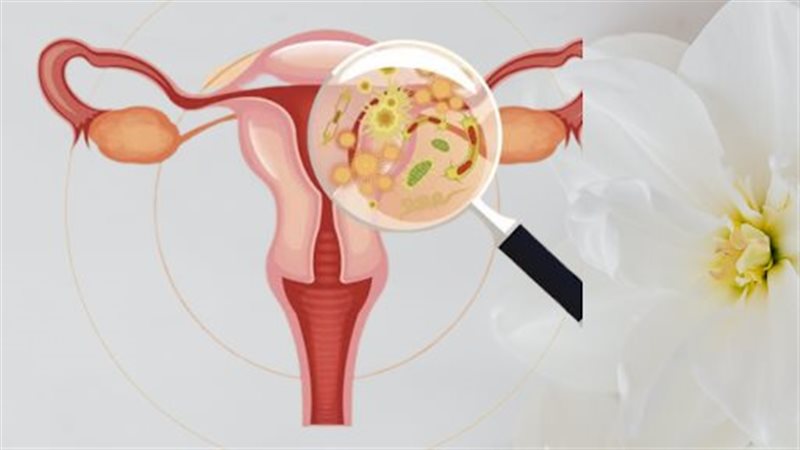 علاج التهابات المهبل
