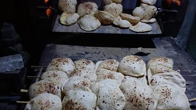 تحرير 41 مخالفة في حملة تموينية مكبرة على المخابز البلدي والسياحي بالفيوم