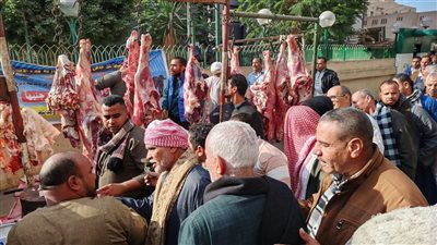 إقبال كبير على منافذ بيع اللحوم البلدية بسعر 290 جنيهًا للكيلو بأسيوط (صور)