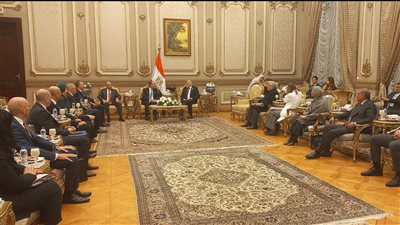 وزير الخارجية: استهداف مصر مستمر 