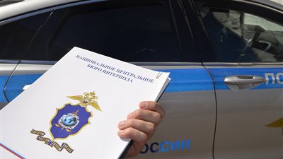 الإمارات تسلم روسيا متهما في 15 قضية احتيال بـ 88 مليون روبل 