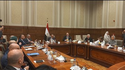 وزير الخارجية أمام الشيوخ: مصر تتعرض لاستهداف ممنهج على مختلف الأصعدة 