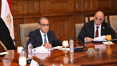 وزير الخارجية يكشف تحركات مصر لحفظ حقوقها المائية بسبب السد الإثيوبي