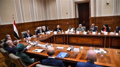 وكيل الشيوخ: نجحنا بملف حقوق الإنسان والمنظمات الإرهابية سعت لتشويه الإجراءات الجنائية