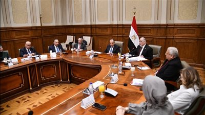 بدر عبد العاطي: نرفض الاستغلال السياسي لملف حقوق الإنسان، وحرب غزة أسقطت الأقنعة