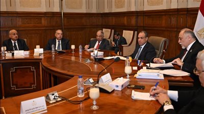 غزة والسودان والحقوق المائية، وزير الخارجية يكشف خطوط مصر الحمراء بعدد من الملفات