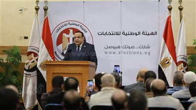 الوطنية للانتخابات: إبطال اللجنة 71 في بلبيس و26 و36 بالمنصورة و68 بميت غمر (صور)