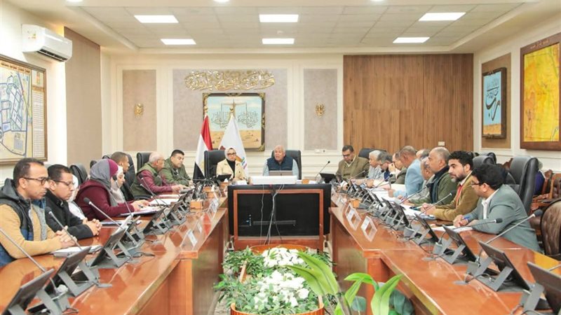 إجتماع الوادي الجديد،