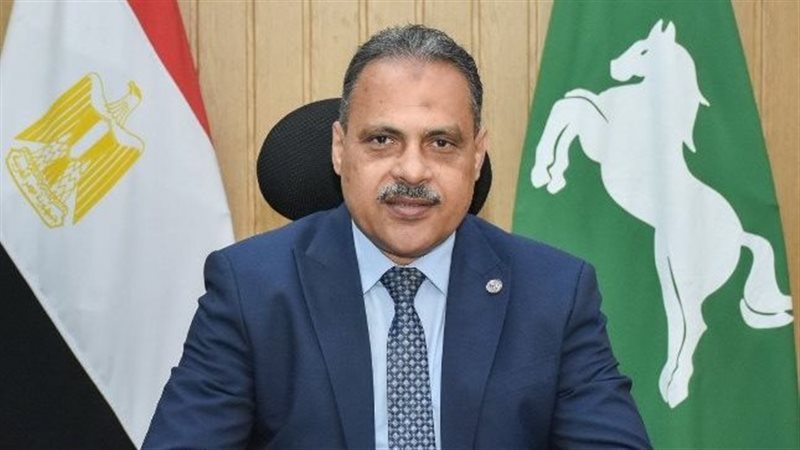 محافظ الشرقية