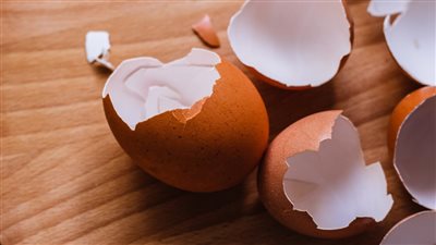 فوائد غشاء قشر البيض، يقلل التجاعيد ويحسن كثافة الشعر 