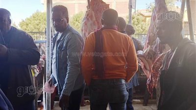 ضبط لحوم فاسدة في أسواق كوم أمبو بأسوان (صور)