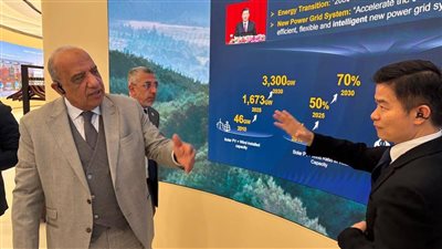 وزير الكهرباء: مشروعات مشتركة لتحسين جودة التغذية وتأمين استقرار الشبكة