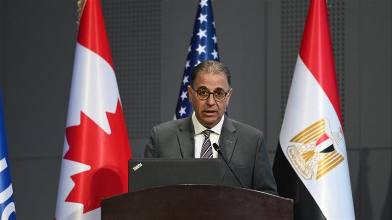 السفير نبيل حبشي،