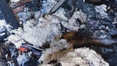 النيران تلتهم محتويات شقة فى 15 مايو| صور