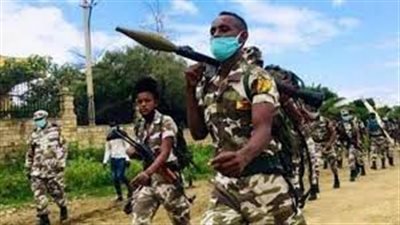 عمليات نوعية قرب أديس أبابا.. الأورومو تسيطر على مصنع أسمنت سد النهضة|فيديو