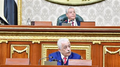 برلمانية تطالب باختصار منهج رابعة إبتدائي.. ونائب يفتح أزمة تسمم التلاميذ