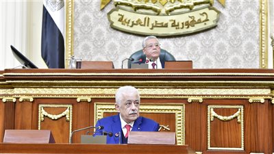 طارق شوقي: تطوير التعليم لن ينجح بتعيين الـ36 ألف معلم.. ولا علاقة لنا بالوجبات المدرسية