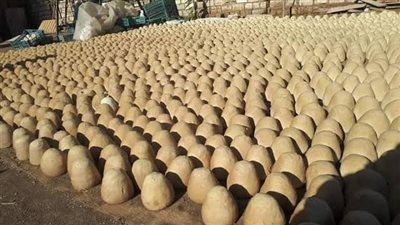 طلب إحاطة بشأن التقصير في أداء هيئة سلامة الغذاء: انتشار مادة الفورمالين في الألبان 