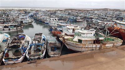 غرفة عمليات ديوان كفرالشيخ تنفي توقف الصيد بميناء البرلس