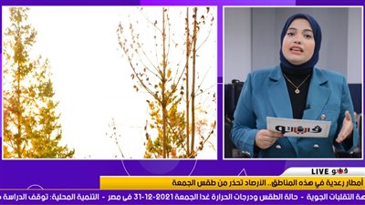 الأرصاد تحذر من طقس الغد.. أمطار رعدية وتساقط حبات الثلج في هذه المناطق | فيديو
