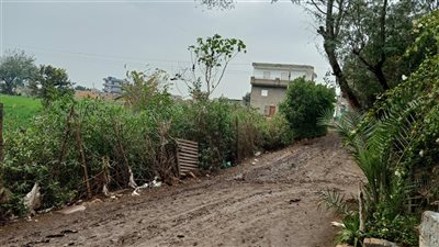 سقوط أمطار على الدقهلية | فيديو وصور 