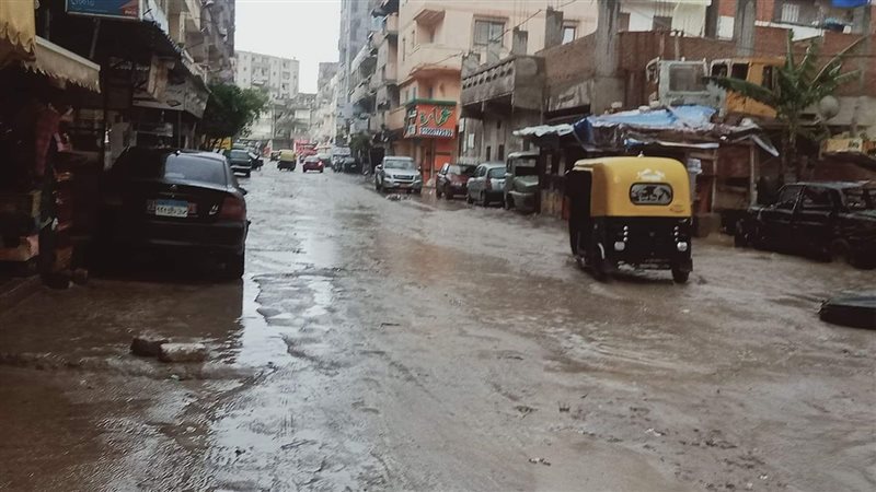 الاسكندريه