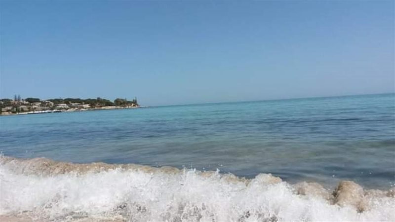 الاسكندريه