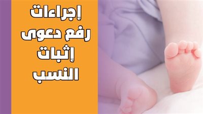  إجراءات رفع دعوى إثبات النسب | انفو جراف