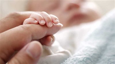 الباجور تسجل 3 حالات ولادة و4 وفيات فى أول أيام العام الجديد