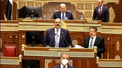 مجلس الشيوخ يبدأ مناقشة مواد مشروع قانون العمل بعد الموافقة المبدئية