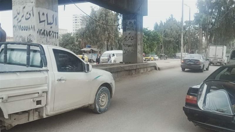 الاسكندريه