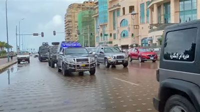 ضبط 297 عنصرا إجراميا شديد الخطورة و424 قطعة سلاح ناري خلال أسبوع 