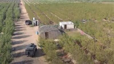 إبادة 161 فدانا وضبط 13 طن مخدرات بقيمة 232 مليون جنيه 